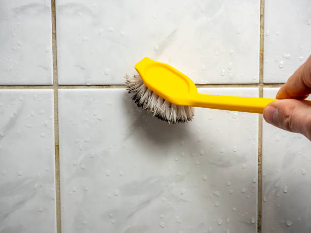 Best Black Mold Removal  in Centrevle, IL