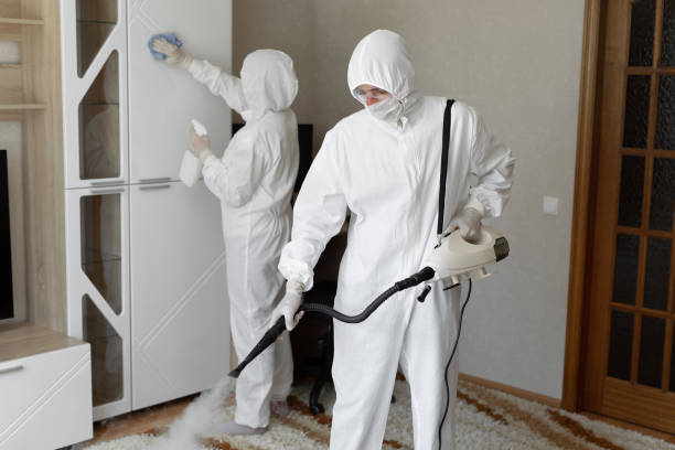 Best Commercial Mold Removal  in Centrevle, IL