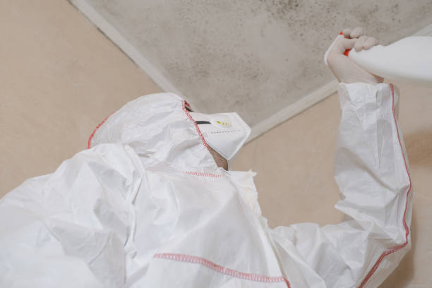 Crawl Space Mold Removal in Centreville, IL