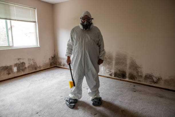 Best Emergency Mold Removal  in Centrevle, IL